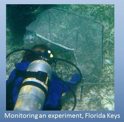 monitoring experiment, FL